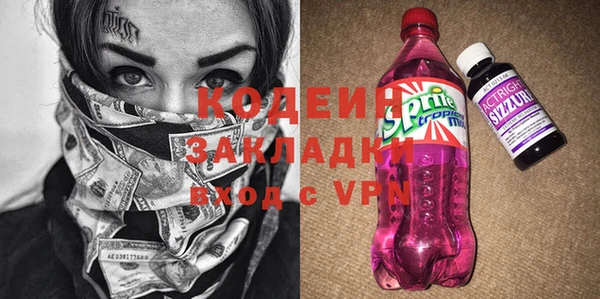 сатива Сатка