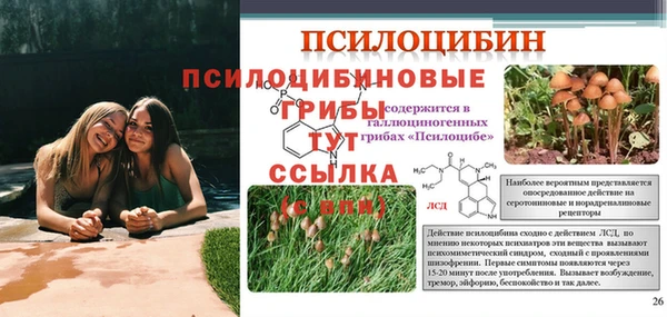 дживик Семикаракорск