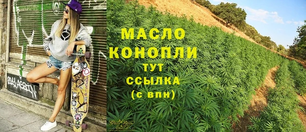сатива Сатка