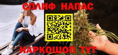трава Сланцы
