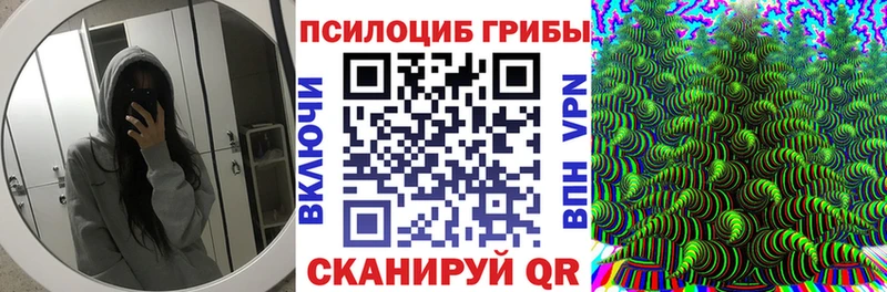 Псилоцибиновые грибы Psilocybe  где купить наркотик  Сафоново 
